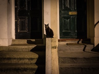 Нейросеть показала, как выглядит пятница 13-е в Королеве
