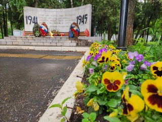На улице Ногина в Серпухове зацвели сотни бархатцев, цинерарий и бегоний