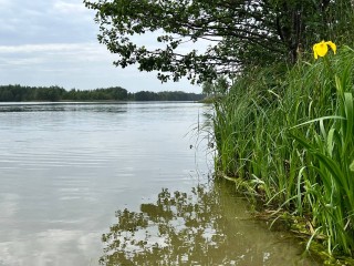 Синоптик назвала единственный день без дождя в Подмосковье на этой неделе