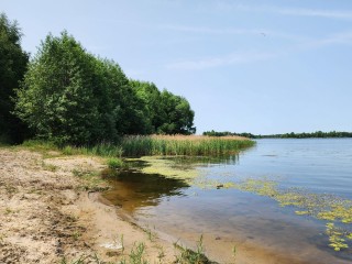Эпидемиолог из Шатуры предупредил об опасности купания в грязной воде