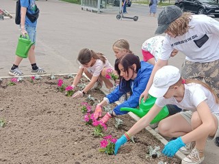 Краснознаменские школьники помогают коммунальщикам обновлять цветники