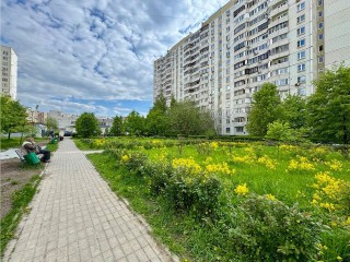 Сквер по Носовихинскому шоссе переведен в статус «зеленой зоны»