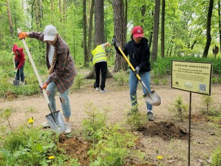 Жители Богородского округа определят будущий вид парка «Волхонка» на слушаниях