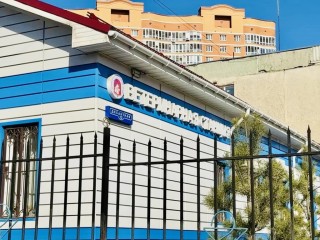 У домашней собаки в Кратово подтверждено бешенство