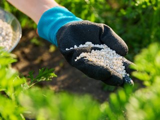 Митрофанов день: зачем удобряли почву и почему нельзя купаться в водоемах
