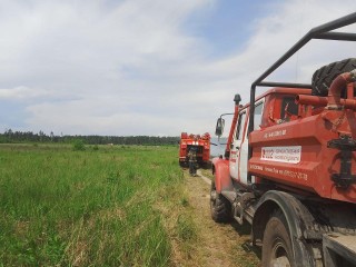 В Подмосковье за сутки потушили два лесных пожара