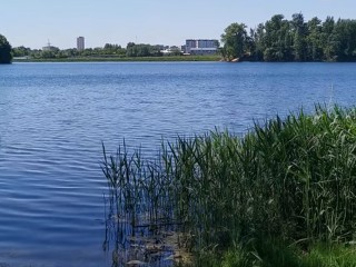 На Красковском карьере в Люберцах обустроят набережную и зону отдыха