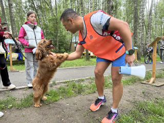 Четвероногие чемпионы: в Домодедове прошел семейный забег с собаками