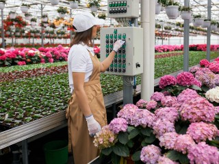 Московская область обеспечит цветами всю Россию
