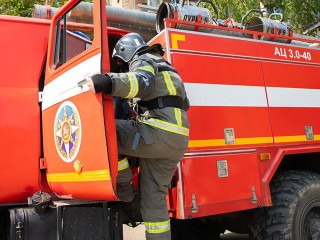 Операцию по спасению застрявшей на фонарном столбе вороны провели во дворе Мытищ