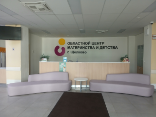 Перинатальный центр в Щелкове проверят на эффективность расходования средств