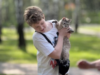 В Балашихе можно бесплатно вакцинировать и чипировать питомца