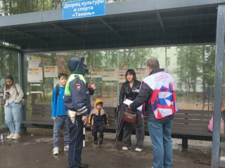 Акцию по безопасности на дорогах провели в Калининце