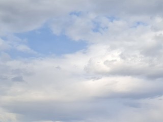 Дожди и усиление ветра ждут жителей Подмосковья 25 июня