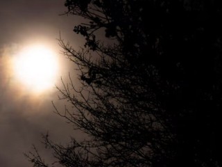 Какие знаки судьбы стоило остерегаться 23 июня в Тимофеев день, чтобы беда не пришла