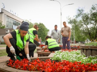 Цветочный бум в Раменском: более 120 тыс. растений украсят город этим летом