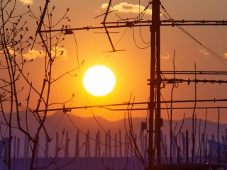 Календарь магнитных бурь на июль 2025 года