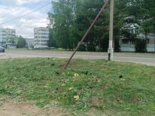 Заросший борщевиком участок обработан у котельной в Талдоме по просьбе жителей