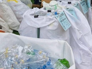 Жителей семи округов Подмосковья пригласили на экоакции по раздельному сбору отходов