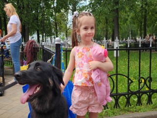 На выставке собак в Волоколамске выступили более 300 участников со всей России