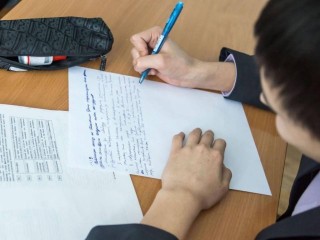 Депутат предложил отменить бесплатное образование для детей мигрантов