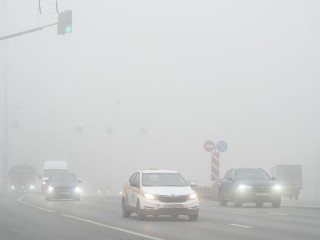 Водителей предупредили о сильном тумане
