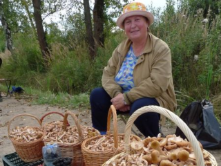 В Красногорске начался грибной бум