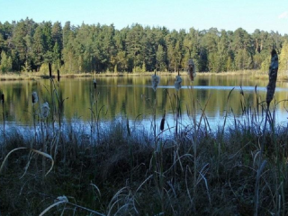 Волоколамск получил новую охранную зону для защиты природы