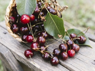 Глянцевая и упругая: продавец фруктов из Чехова рассказал, как выбрать вкусную черешню