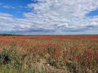 Погода в Подмосковье снова ухудшается