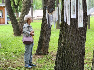 Жителей округа пригласили на фотовыставку и дискотеку в Лосино-Петровский парк