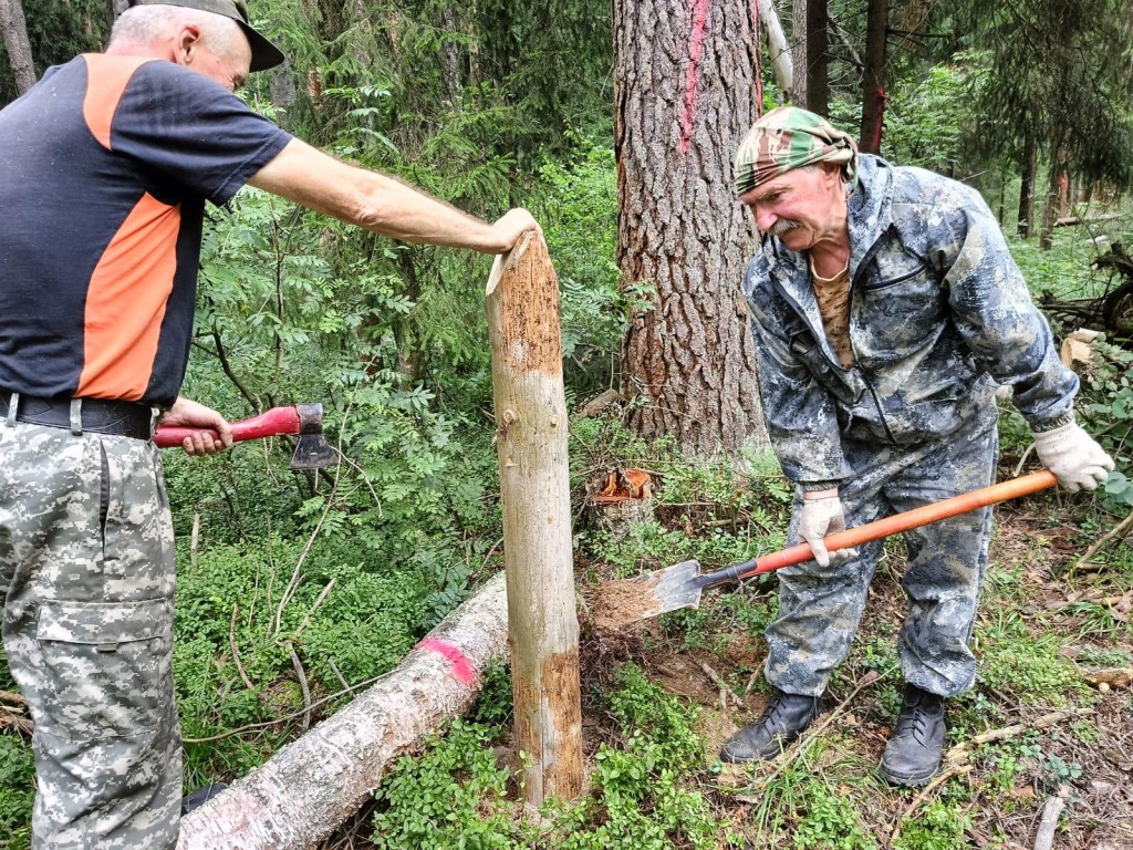 В Богородском округе проведут санитарную уборку леса за деревней Дядькино