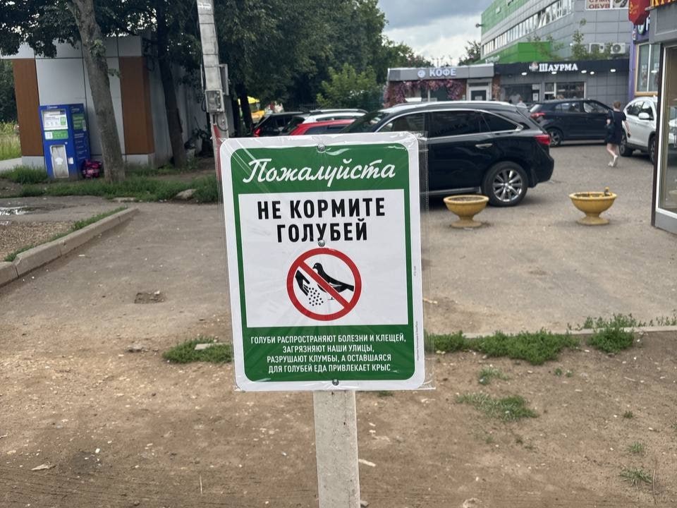 В микрорайоне Пронина появилась табличка, запрещающая кормить голубей