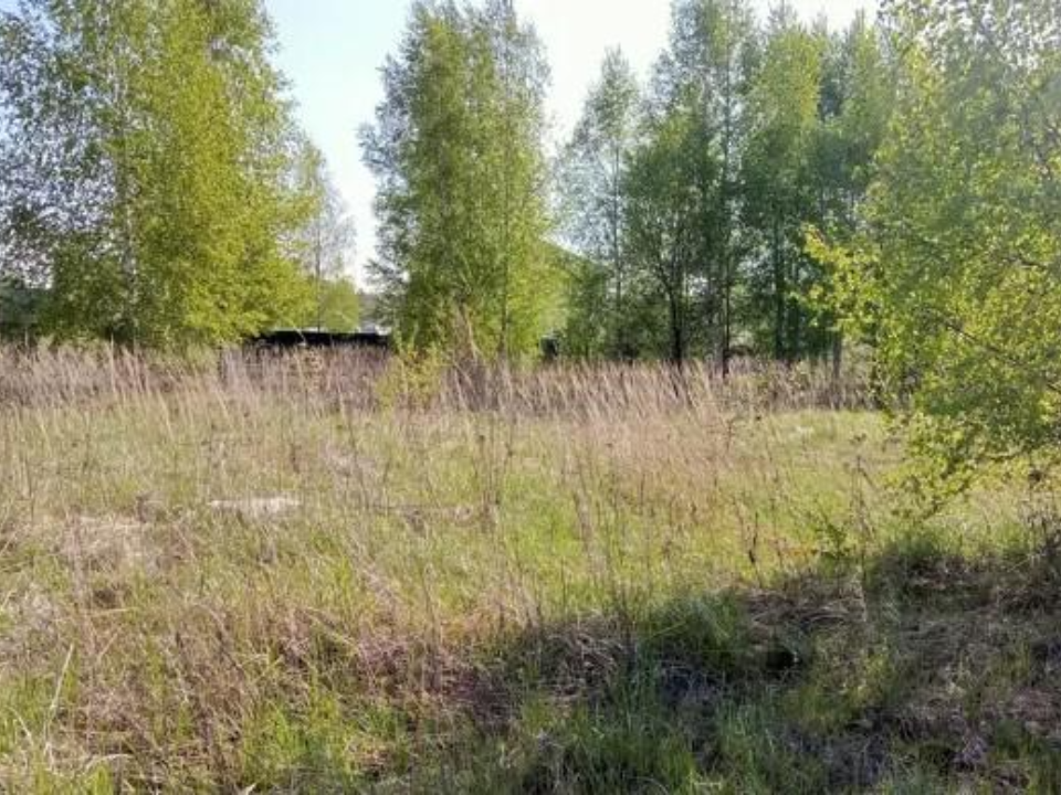 Орехово-Зуево, Егорьевск и Клин стали лидерами по выставленным на торги участкам
