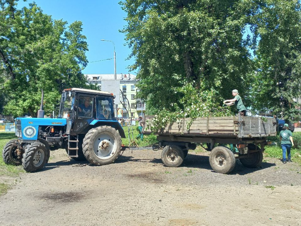 В Электростали убрали деревья, поваленные ветром во время грозы