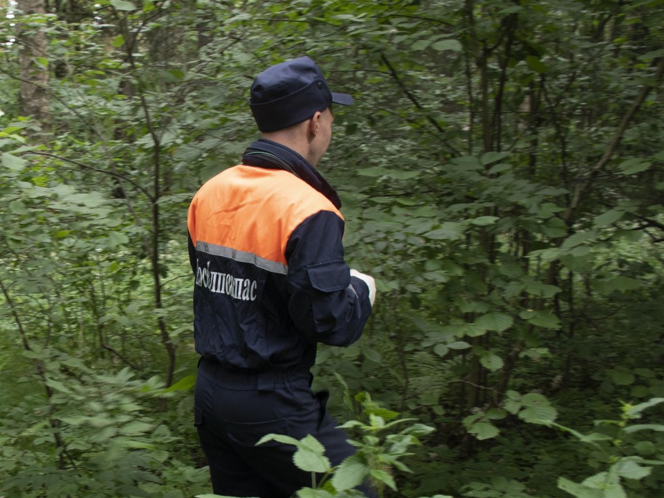 Спасатели разыскали двух пенсионерок, заблудившихся в лесном массиве под Дмитровом