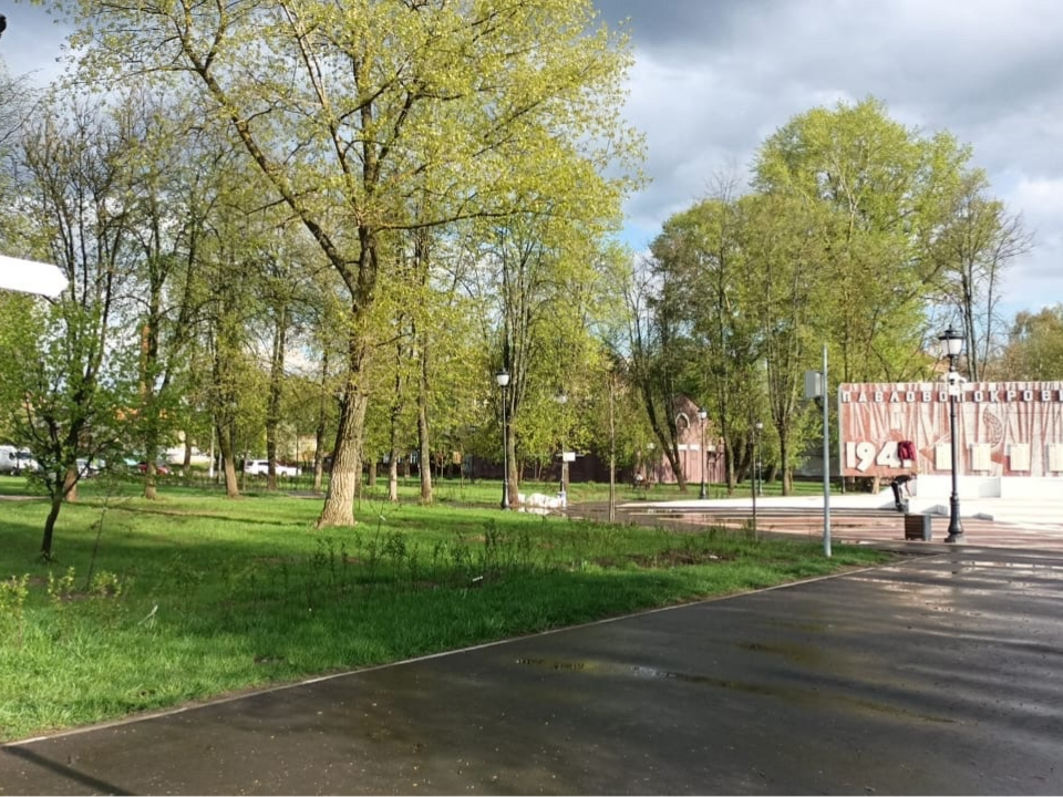 Более ста кизильников от павловопосадского предприятия цветут в центре города