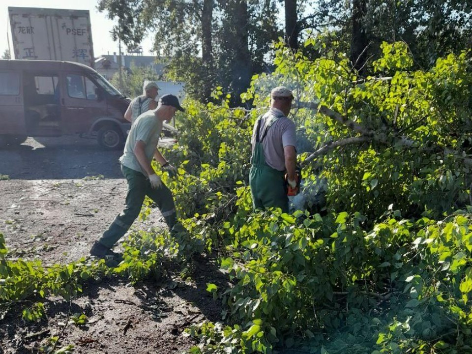 В Богородском округе устранили последствия разгулявшейся стихии