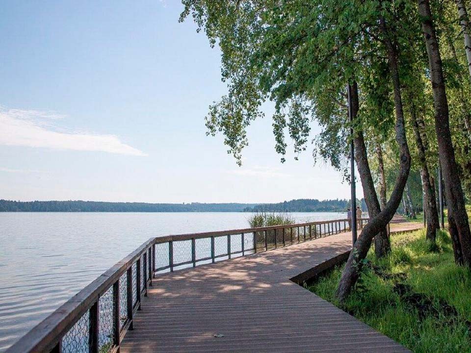 Глава Солнечногорска раскрыл, где предпочитает гулять на природе