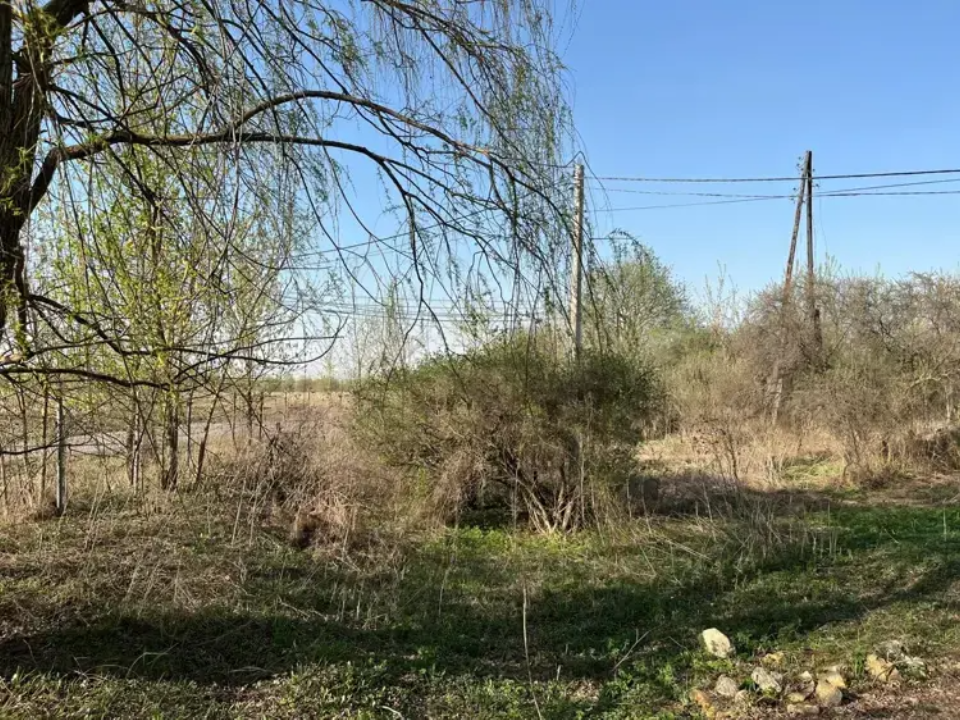 В Подмосковье за неделю проведено 79 аукционов, рекордный лот продан в Домодедове
