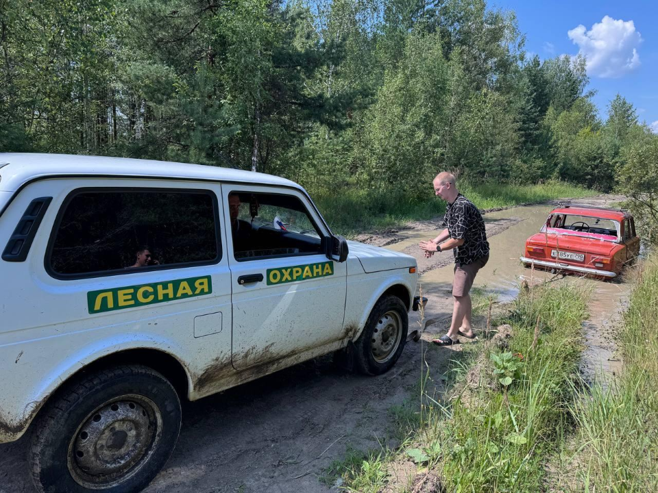 Лесничие пришли на выручку застрявшей в автомобиле семье
