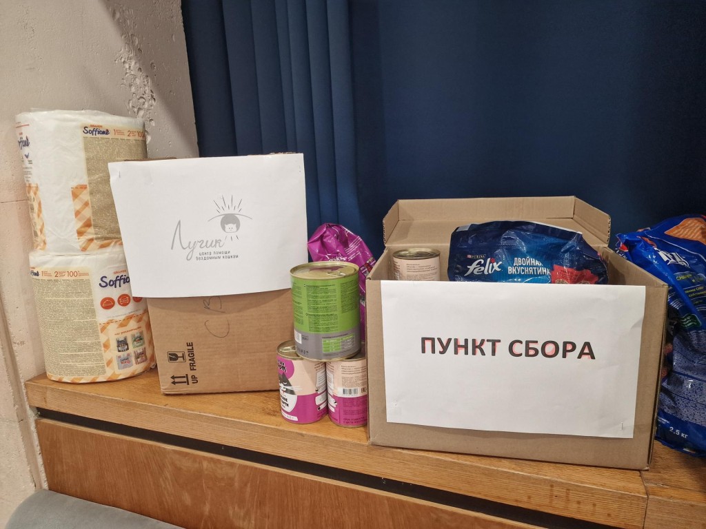 В Дубне собрали вкусняшки для пушистых жителей приюта «Лучик» и «Верный друг»