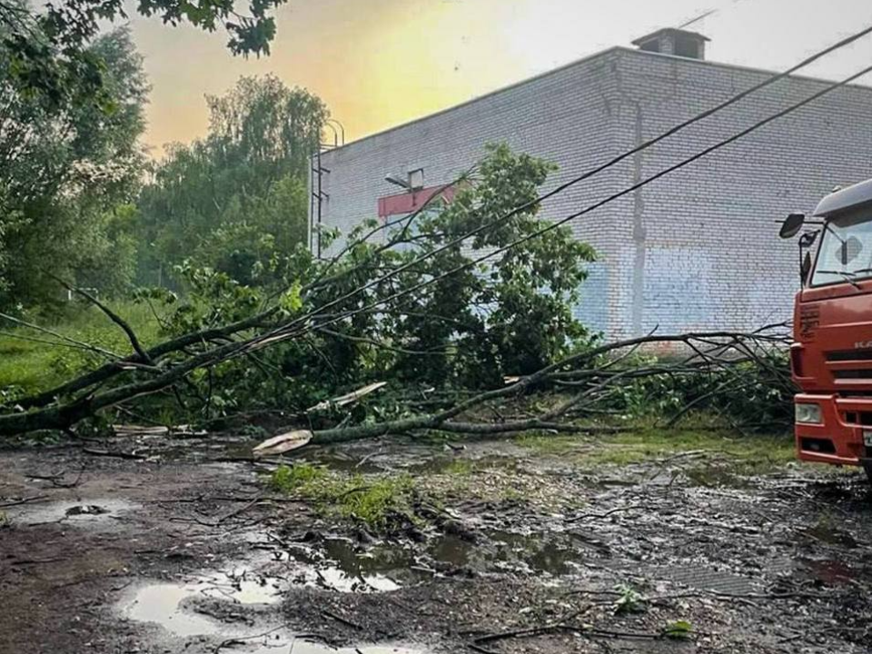 В Электростали коммунальные службы убирают деревья, упавшие во время грозы