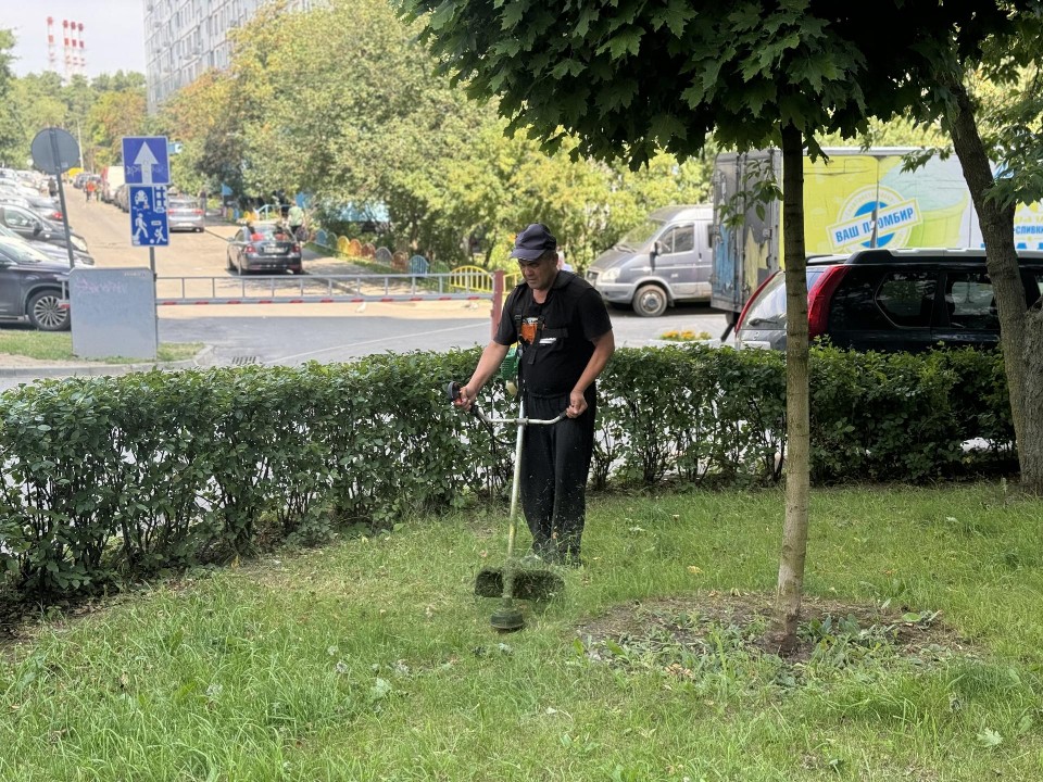 На центральных улицах Видного коммунальщики покосили траву