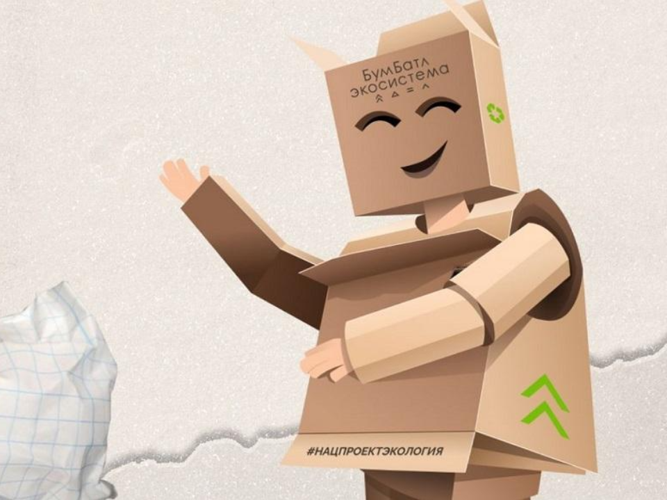 Подмосковье вошло в тройку лидеров по сбору макулатуры в акции «БумБатл»
