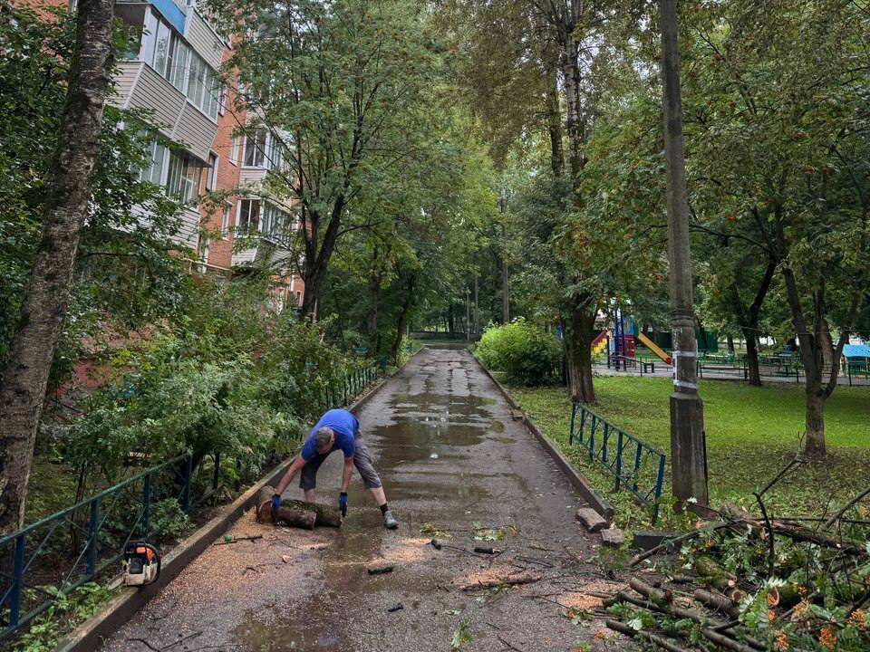 В Подольске в Гулевском проезде убрали упавшее дерево