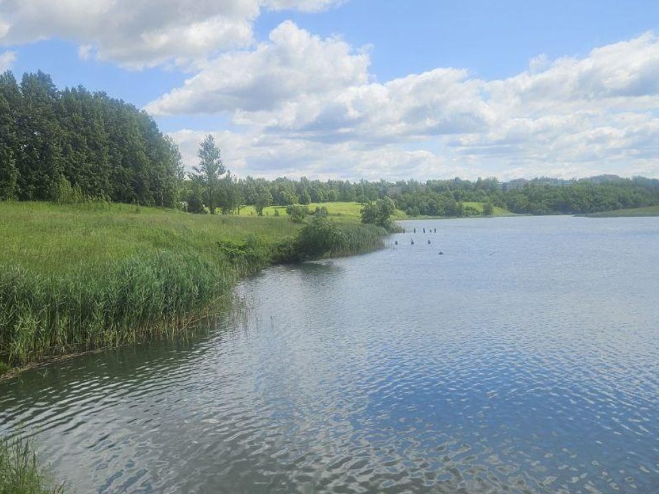 В Дмитровском округе началась расчистка Синьковского водохранилища