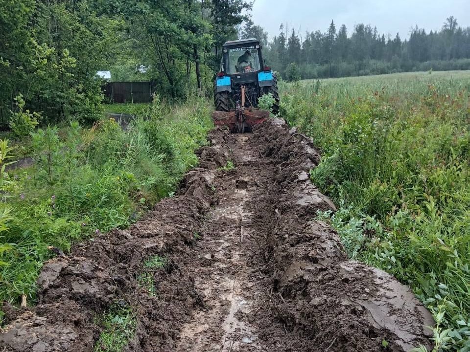 Звенигородские леса опахивают и очищают от сухостоя