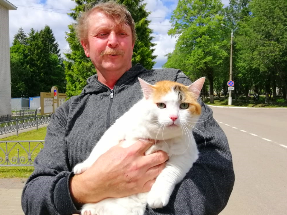 Животных в трех деревнях под Можайском бесплатно вакцинируют от бешенства