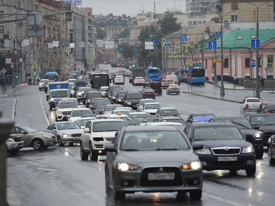 Москвичка остановила движение на трассе ради спасения утят